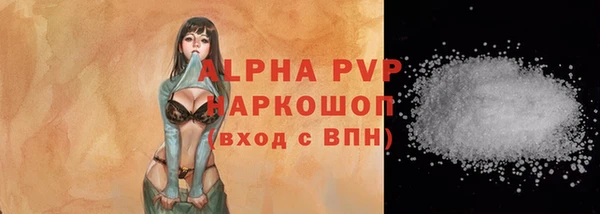 молекула духа Гусиноозёрск