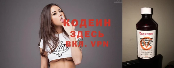 молекула духа Гусиноозёрск