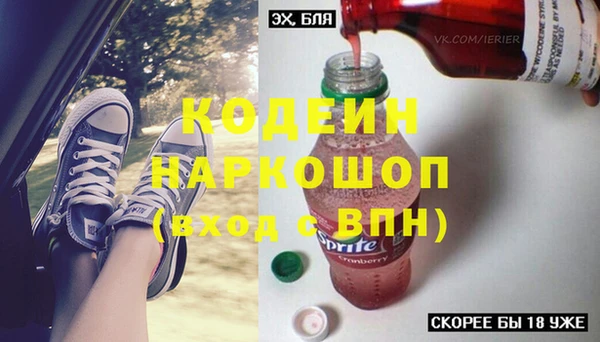 молекула духа Гусиноозёрск
