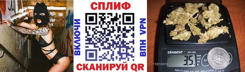 МАРИХУАНА план  Купить где  Карабаш 
